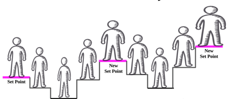Weight Set Point Theory