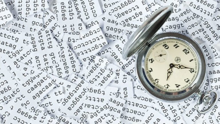 Epigenetic clocks and Reprogramming  